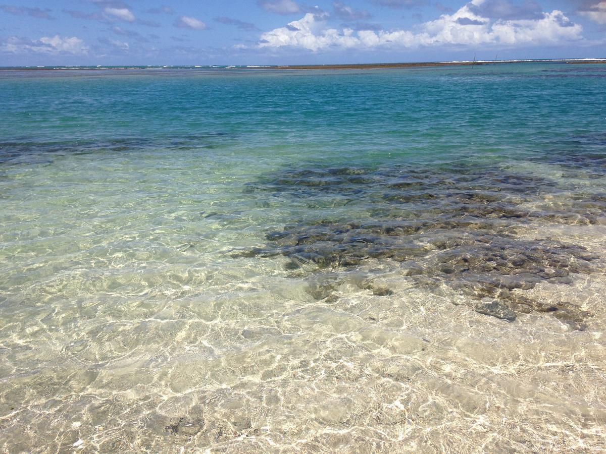 Villa Albardao Serrambi Pôrto das Galinhas 외부 사진