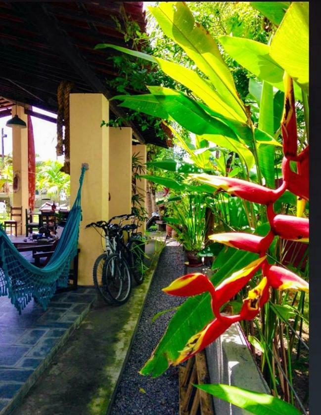 Villa Albardao Serrambi Pôrto das Galinhas 외부 사진